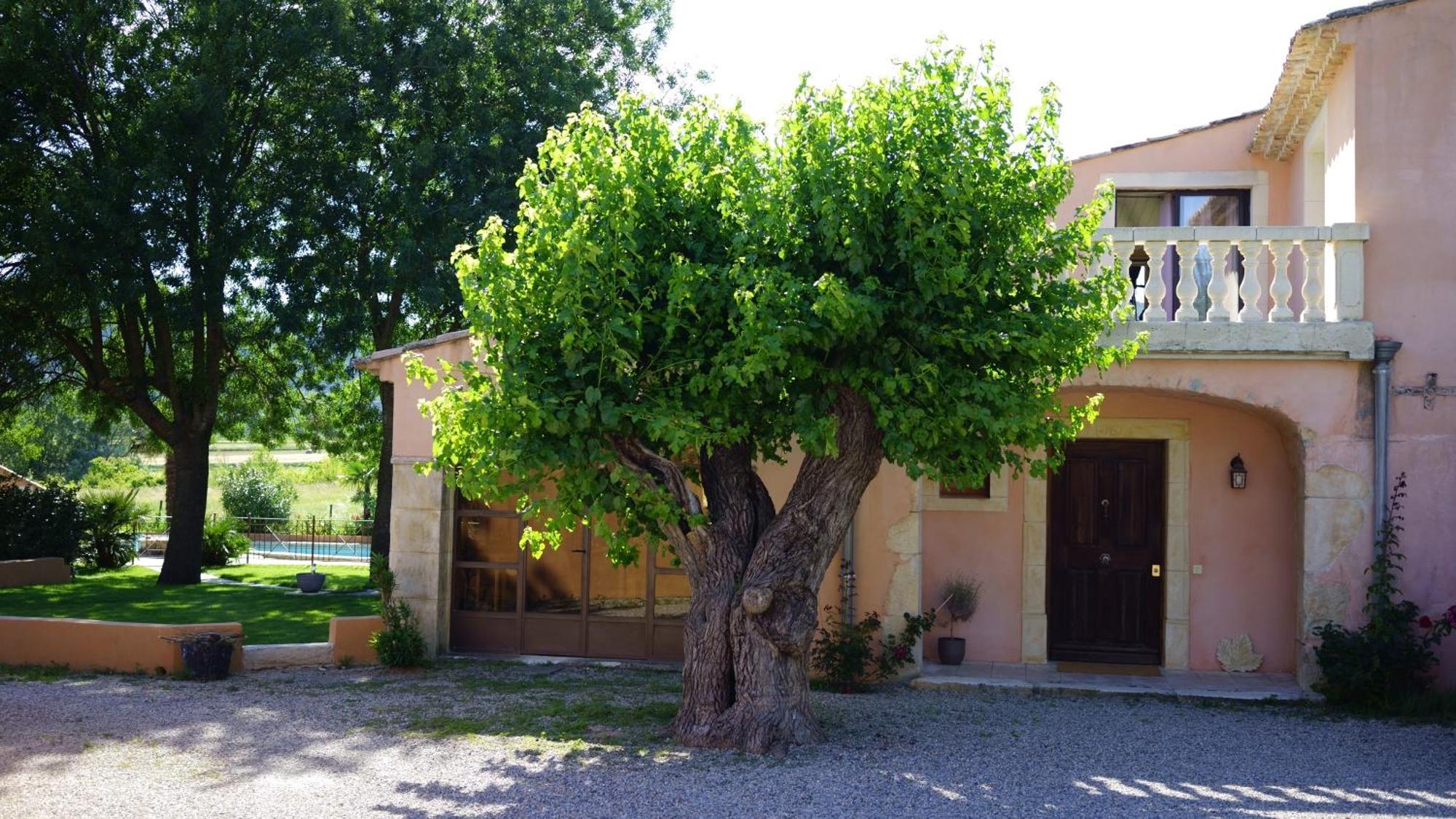 Chambres D'Hotes, B&B La Musardiere Alba-la-Romaine Bagian luar foto