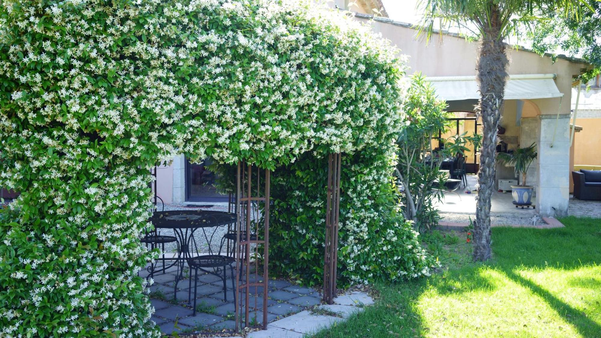 Chambres D'Hotes, B&B La Musardiere Alba-la-Romaine Bagian luar foto